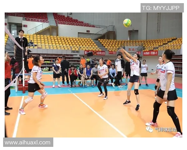 成都排球队整体压制打法深度分析与战术解读