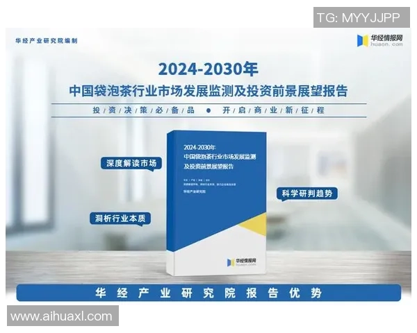 武汉飞盘队的成功运营模式与发展策略深度分析