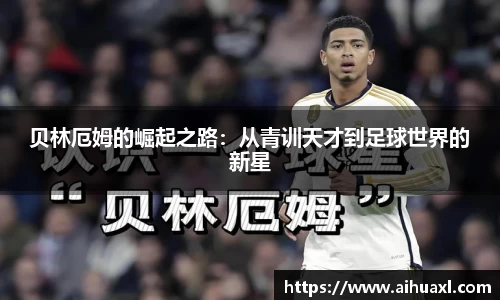 蓝狮在线app