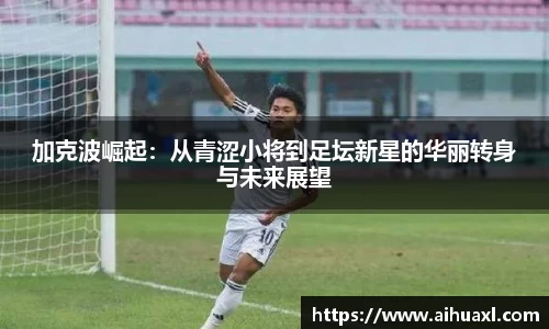 蓝狮在线平台